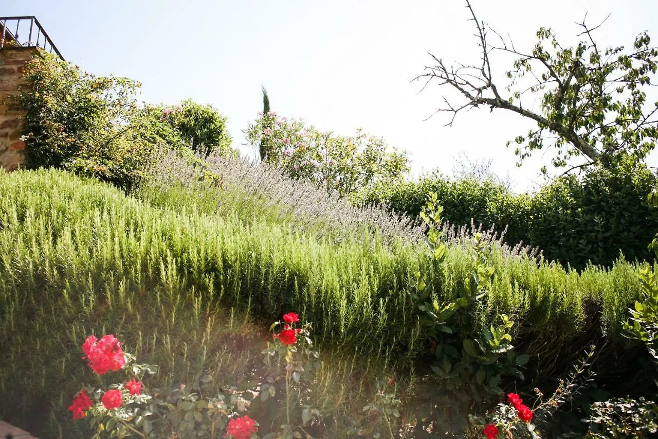 Apartment Tenuta Delle Rose Montaione