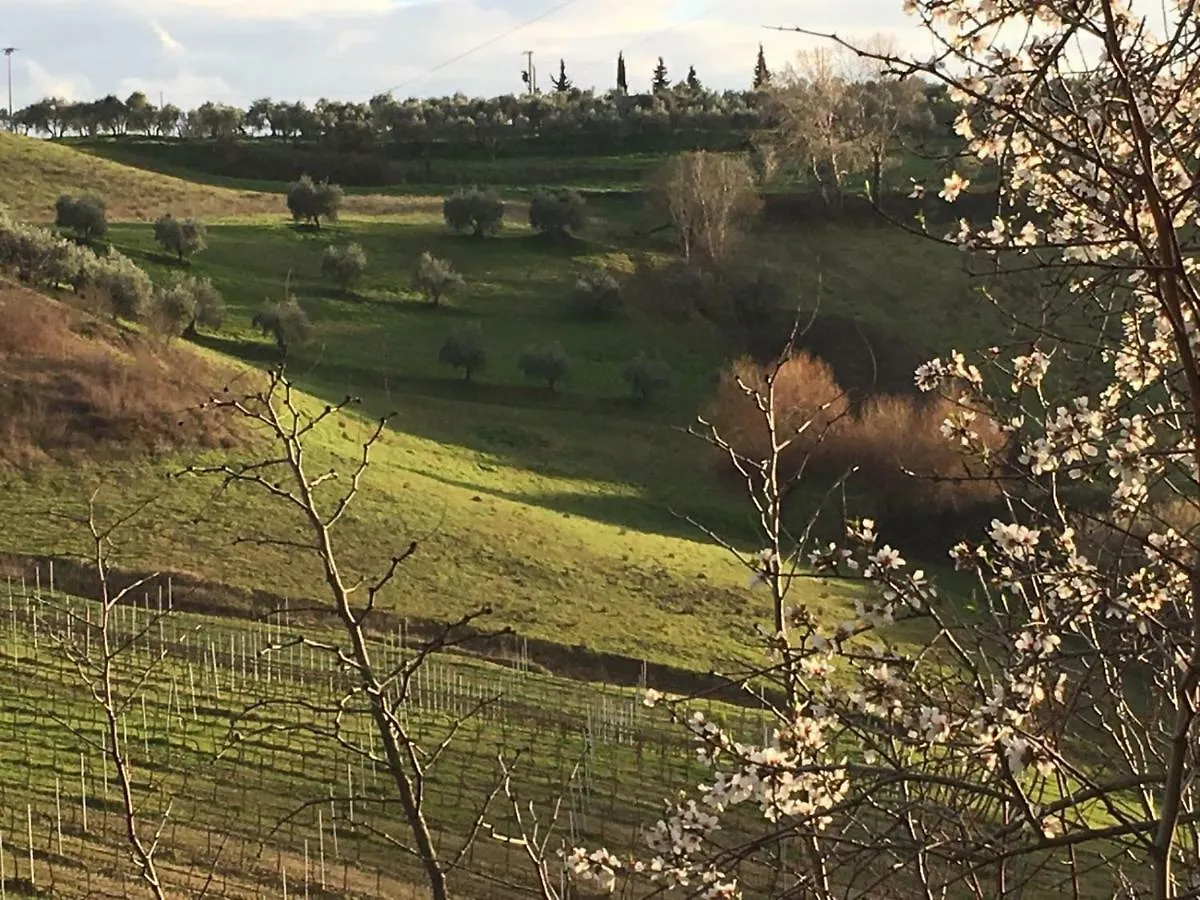 Tenuta Delle Rose Apartment Montaione
